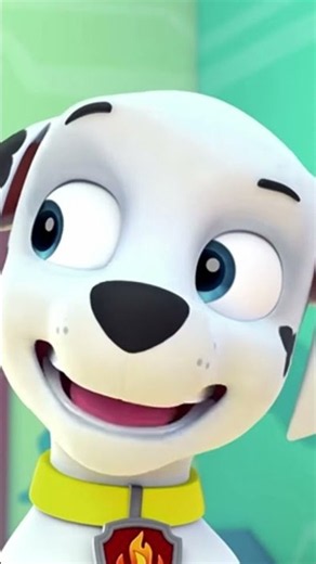 Paw Patrol Wipeout #1