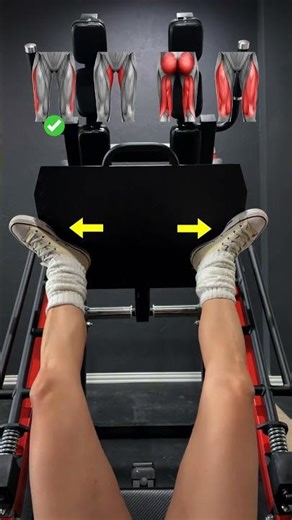 Leg Press - Muscle Activation by Foot Position