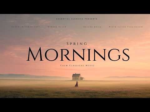 Spring Mornings | Calm Classical Music 🌿