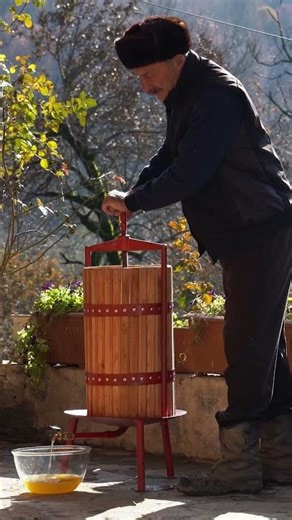 Pineapple Juice Making: From Fresh Fruit to Bottled Goodness