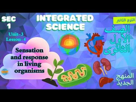 Integrated Science | Sec 1 | Term 2 | Unit 3 - Lesson 4 | Sensation and Response in Living Organisms