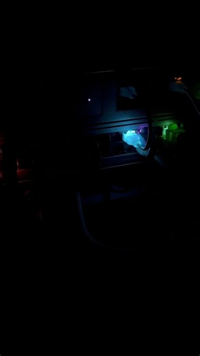 I love the Etherlighting on my Unifi Pro Max Switch