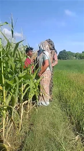 Unlock the Power of Smart Learning with Advanced Gadgets! 🌟 Take your learning journey