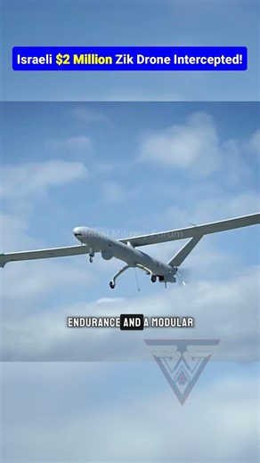 Hermes 450 Downed: Hezbollah’s SAM Strike Over Tyre