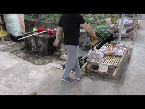 Display shell fireworks packing
