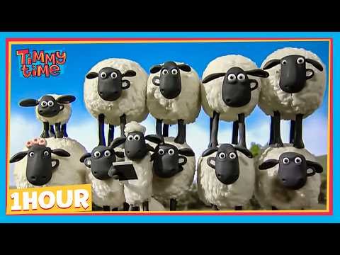 LET'S BUILD A SHEEP-BLOCK TOGETHER! 🐑 | Timmy & Friends