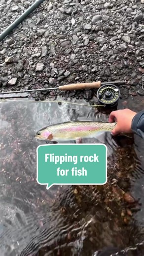 Flipping Rocks for Fishing: Tips and Techniques