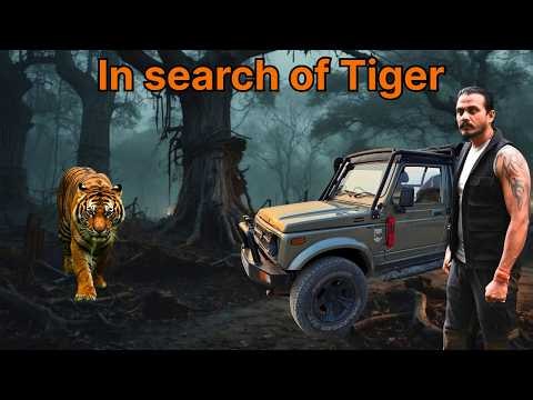 Jungle Safari | In Search Of Tiger | Tiger Spotted