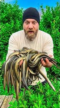 Tandoor Eel Fish Looks Insane