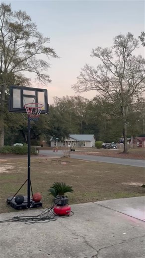 That’s just Tim Bagley (@bagleybirdfam)’s videos with som original - 𝙈𝙪𝙨𝙞𝙘𝙖𝙨