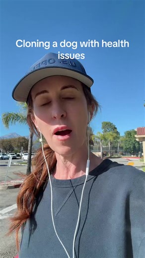 Ultimately I decided to clone Oliver despite his health issues later in life. I did this from the advice from Viagen and our vets that usually health issues if they are going to express themselves show up around the same age and Oliver was relatively healthy until about 15 years old. #fyp #clonedpet #puppy #viagen #petsoftiktok