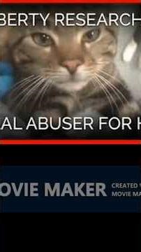 the vile experiments that beagles & other dogs go through in the animal testing industry 🤢🐩💉 #crime