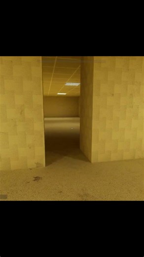 am I wrong? (Skibidi Backrooms)