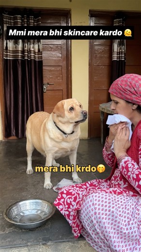 skincare kardo 😝 || labra rubi || #shorts #youtubeshorts #labrador #dog #funny #comedy #pets #love