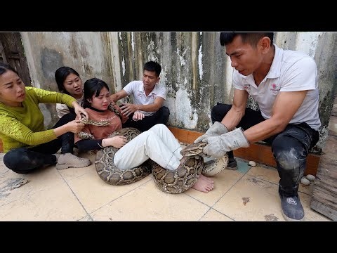 Terrifying Rescue: Giant Python Wraps Around Young Woman Inside a House