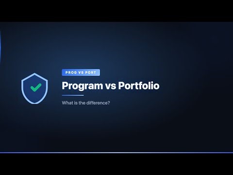 Program vs Portfolio