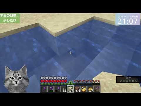 Minecraft test (Java Edition 1.21.11)