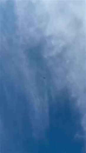 Drone Delivery in Action! Spring, Texas Walmart and Wing 👏👏👏 | Andre Andrade