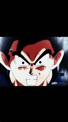 MOMENT WHEN GOHAN ACHIEVE ANGEL GRAN PRIST FORM