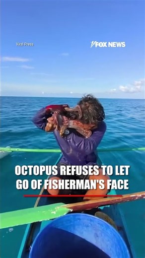 Octopus REFUSES to let go of fisherman’s face #shorts #foxnews #news #fox