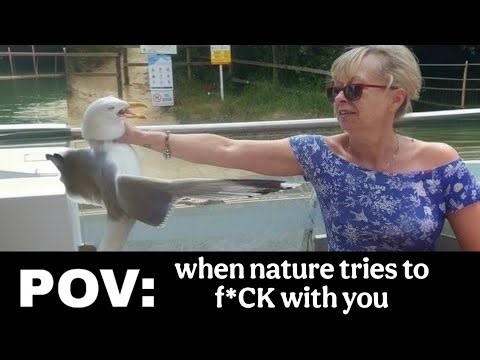 POV Memes Compilation | Try Not To Laugh Challenge (IMPOSSIBLE) #20