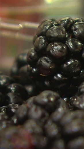 Parasite outbreak continues spreading across U.S.