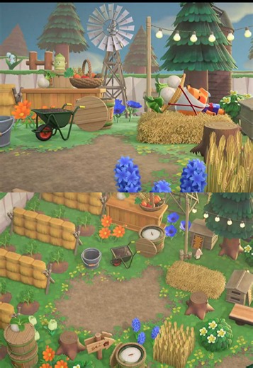 daisy-mae & joan's turnip farm 🫜🩷🌾👩🏼‍🌾 #acnh #animalcrossingnewhorizons #happyhomeparadise #hhp #acnhhhp