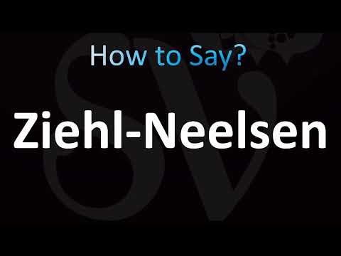 How to Pronounce Ziehl-Neelsen Stain (CORRECTLY!)