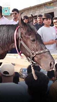 DGCA Pilot Training India | Building Confidence Beyond Ground Classes