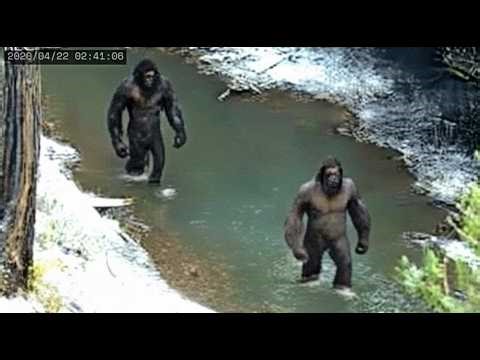 Bryce Johnson: "Our Drone Captured The Chilling Truth We’ve Been Chasing!" | Expedition Bigfoot