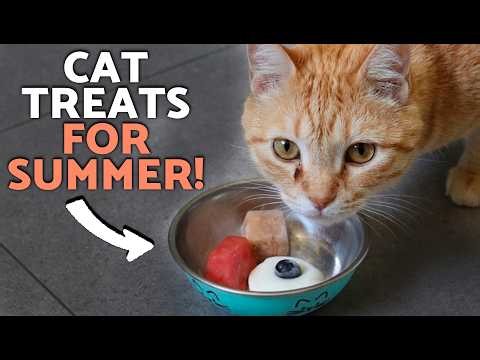 3 Easy SUMMER TREATS for CATS 🍦🐱 DIY Homemade Recipes