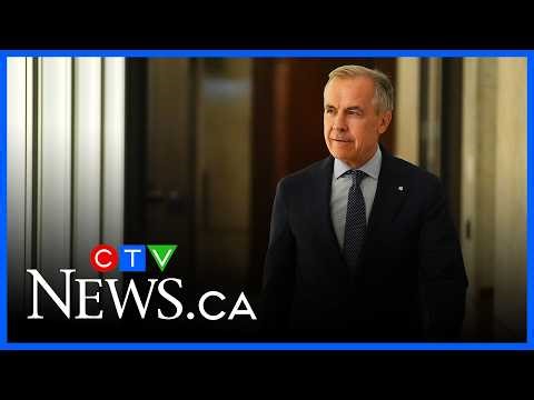 PM Carney says voters 'strengthened our democracy at a decisive moment in Canada'
