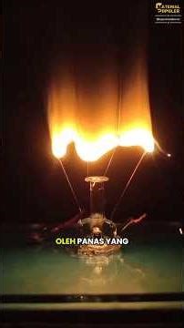 Tidak Semua lampu Tungsten Setara #faktaunik