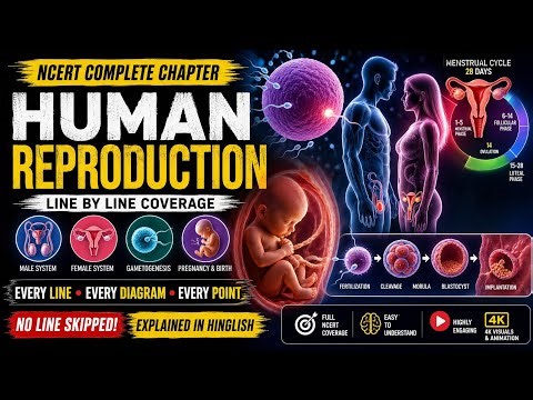 Hinglish | Class 12 BiologyNCERT Human Reproduction Explained Line by Line | Full Chapter Revision