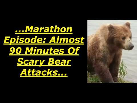Scary Bear Attacks Marathon Episode: 9 Bear Attacks From The Wilderness