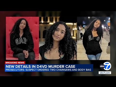 Disturbing new details on how Celeste Rivas Hernandez was believed to be killed by D4vd