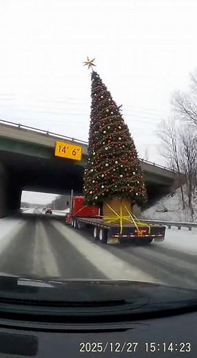 Giant Christmas Tree vs Bridge—Total Destruction #dashcam #fail