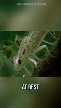 all you need is a go get 'em attitude...