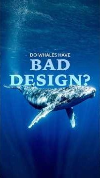 Do Whales Have Bad Design?