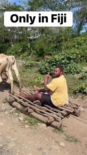Fiji's Bizarre Sights That Make Visitors Laugh