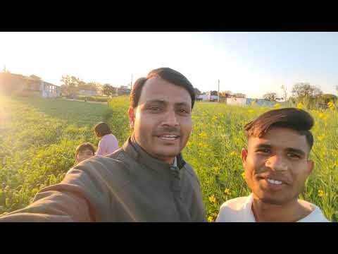My village tour Rajasthan | राजस्थान के खेत खलिहान में गेहूं और सरसों की फसल | village ka sukun 