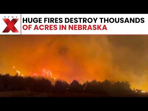 Massive Wildfires Tear Through Nebraska, Burning Hundreds Of Thousands Of Acres | NewsX
