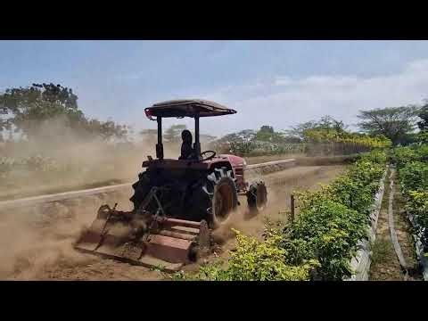 MODERN FARMER PLOWING RICE FIELD WITH ADVANCED JONDER TRACTOR! - Agriculture farming