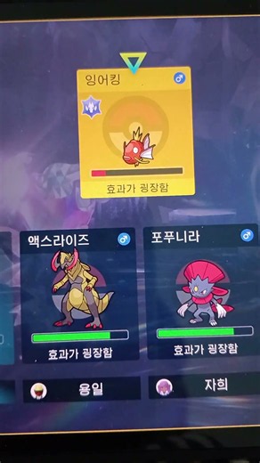 명상 4~5번 쓰고 문포스 딸깍 하면서 테라스탈 페어리 데미지 받으면 드레인 키스 하면서 날치머 100랩 강추