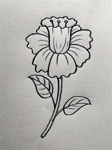 How to Draw a Flower: Step-by-Step Guide