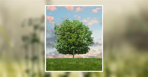 Donna Rowden Obituary March 17, 2026 - West Central Texas Cremation and Funeral Home