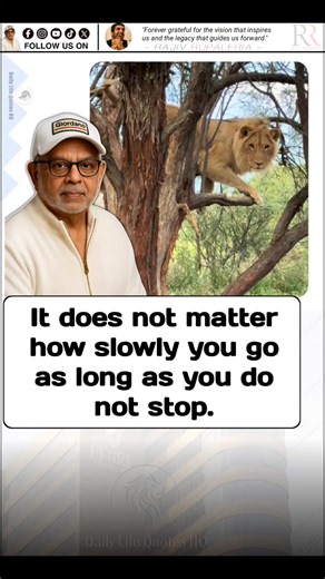 Inspirational Quotes to Motivate Your Day