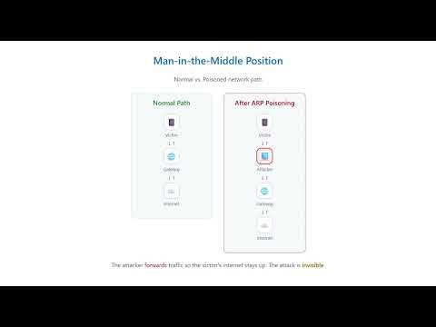Part 1 ARP Poisoning & DNS Spoofing Explained - Concepts & Framework (CMSC 687/487)