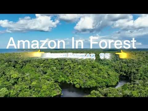 Anaconda Snake Attack Boys In Forest | Brave Hunter Use Chainsaw To Confront GINT Pytho