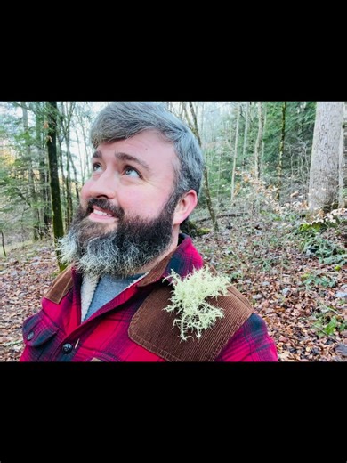 Sipsey wilderness hike along trail 209 and trail 200 enjoy and remember to leave no trace !